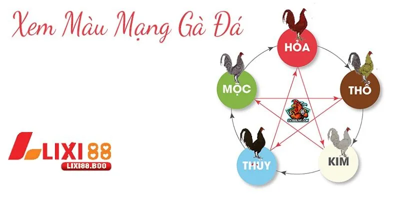Các mẹo nhỏ giúp ghi nhớ màu mạng nhanh chóng